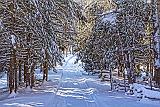 Winter Laneway_32620